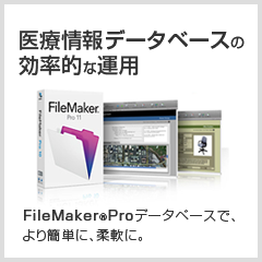 シンプルで、簡単な、FileMakerデータベースの構築を承っております。